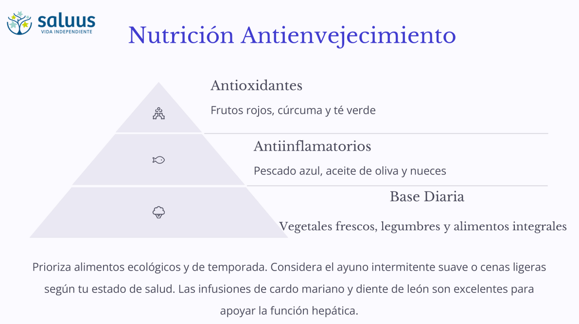 nutrición antienvejecimiento