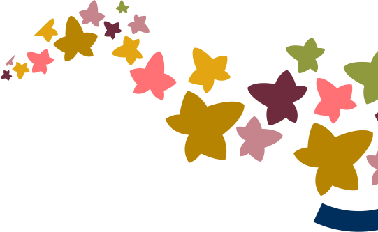 Proyecto Saluus envejecimiento activo